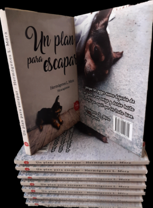 Book Cover: Un plan para escapar