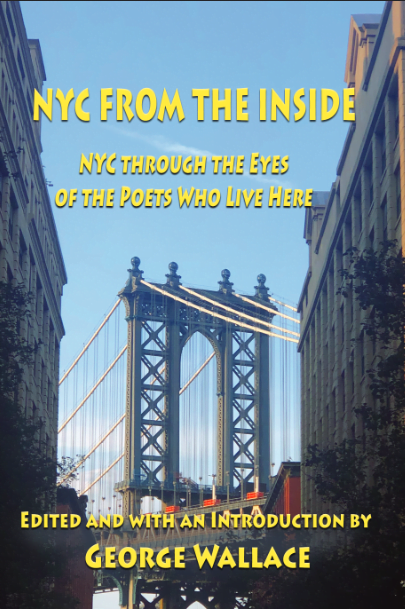 Book Cover: NYC from the inside