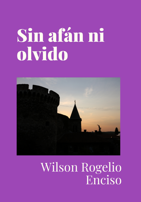 Book Cover: Sin afán ni olvido