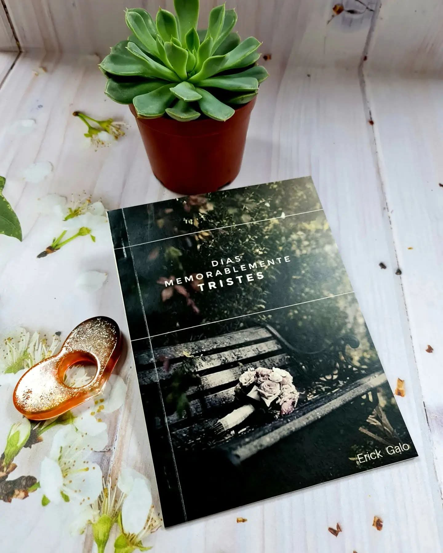Book Cover: Días Memorablemente Tristes