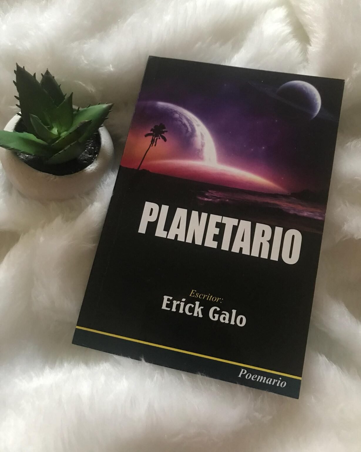 Book Cover: Planetario